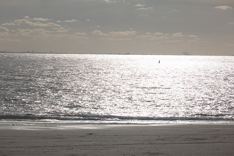Wandeling Zoutelanden